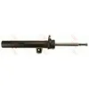 Image de Amortisseur TRW JGM1125SR