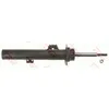 Image de Amortisseur TRW JGM1129SR