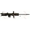 Image de Amortisseur TRW JGM1229SR