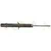 Image de Amortisseur TRW JGM1016S
