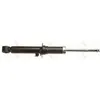 Image de Amortisseur TRW SINGLE TRW JGS1005SL