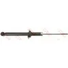Image de Amortisseur TRW JGS1026S