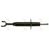 Image de Amortisseur TRW JGS1040S