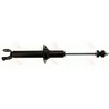 Image de Amortisseur TRW SINGLE TRW JGS1056S