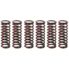 Image de Jeu de ressorts d'embrayage TRW MEF307-6