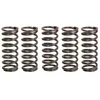Image de Jeu de ressorts d'embrayage TRW MEF310-5