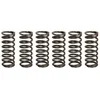 Image de Jeu de ressorts d'embrayage TRW MEF326-6