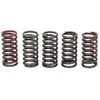 Image de Jeu de ressorts d'embrayage TRW MEF328-5