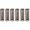 Image de Jeu de ressorts d'embrayage TRW MEF334-6