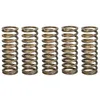 Image de Jeu de ressorts d'embrayage TRW MEF344-5
