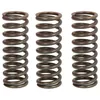 Image de Jeu de ressorts d'embrayage TRW MEF347-3