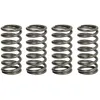 Image de Jeu de ressorts d'embrayage TRW MEF364-4