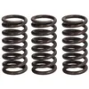 Image de Jeu de ressorts d'embrayage TRW MEF371-3