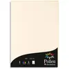 Image de Papier Pollen ivoire - 120 g - format A4 21 x 29,7 cm - paquet de 50 feuilles