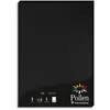 Image de Papier Pollen coloris noir - format A4 21 x 29,7 cm - 120 g - étui de 50 feuilles