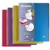 Image de Clairefontaine Cahier à spirale Evolutiv-Book 22,5 x 29,7 cm - 90g - Perforé 4 trous - Petits carreaux 5x5 - 240 pages