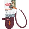 Image de Laisse pour chien plate silicone Zolux Bivouak Rouge 2,3x8,5x1500 cm 466798RGE