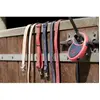 Image de Collier pour chien en nylon Diego & Louna Rouge 40 cm x 2 cm 409250040