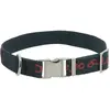 Image de Collier pour chien en nylon Diego & Louna Gris 60 cm x 2,50 cm 409251061