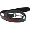 Image de Laisse pour chien en nylon Diego & Louna Gris 150 cm x 2,10 cm 409350150