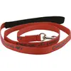 Image de Laisse pour chien en nylon Diego & Louna Rouge 150 cm x 2,10 cm 409351150