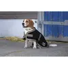 Image de Couverture pour chien Diego & Louna Polyfun Noir 31 cm 409004231