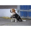 Image de Couverture pour chien Diego & Louna Polyfun Noir 46 cm 409004246