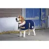 Image de Couverture pour chien Diego & Louna Polyfun Bleu 26 cm/10" 409004726