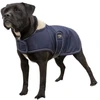 Image de Couverture pour chien polaire Diego & Louna Teddy Bleu 46 cm 409030746
