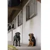 Image de Couverture pour chien en nylon Diego & Louna Teddy Noir 31 cm 409031231