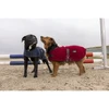 Image de Couverture pour chien en nylon Diego & Louna Teddy Bleu 26 cm 409031726