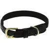 Image de Collier pour chien Equithème Nala Noir 50 cm 409051250