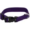 Image de Collier pour chien Riding World Pat Violet 30 cm 409058530