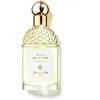 Image de Guerlain - Aqua Allegoria Herba Fresca 75ml