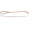 Image de Laisse pour chien en cuir Martin Sellier Class Marron 10/1 m 3005977
