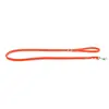Image de Laisse pour chien surpiqué Martin Sellier Class Orange 16/1 m 3006052