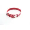 Image de Collier pour chien surpiqué avec plaque Martin Sellier Rouge 14/36 cm 3005999