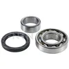 Image de Jeu de roulements de roue SNR R177.15