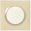 Image de Plaque simple Dooxie, LEGRAND, dune