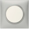 Image de Plaque simple Dooxie, LEGRAND, aluminium