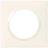 Image de Plaque simple Dooxie, LEGRAND, blanc