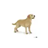 Image de Figurine Papo Labrador Beige TU 905054029