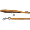Image de Laisse pour chien Zolux Mac leather Jaune 10 mm 522010JA
