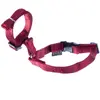 Image de Muselière pour chien Martin Sellier Rouge Taille 3 3004489