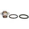 Image de Thermostat d'eau CALORSTAT BY VERNET TH6318.89J