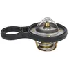 Image de Thermostat d'eau CALORSTAT BY VERNET TH6843.91J