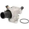 Image de Thermostat d'eau CALORSTAT BY VERNET TH7149.88J