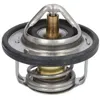 Image de Thermostat d'eau CALORSTAT BY VERNET TH7184.88J