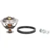 Image de Thermostat d'eau CALORSTAT BY VERNET TH7186.90J