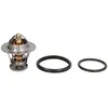 Image de Thermostat d'eau CALORSTAT BY VERNET TH7253.88J